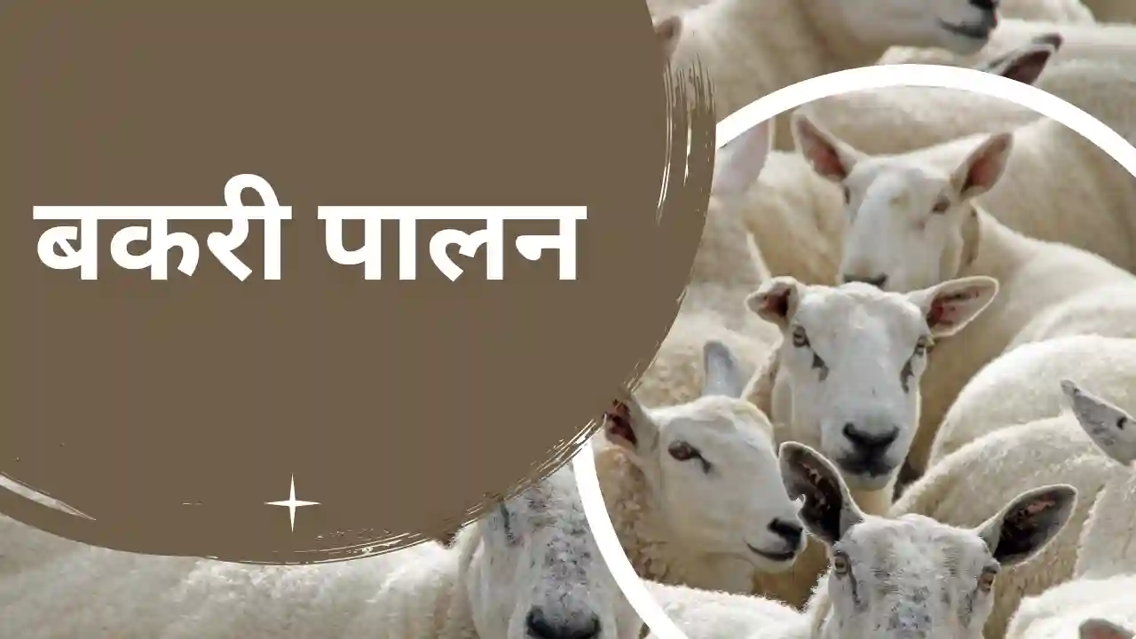 गांव में पैसे कमाने का आसान तरीका 2025