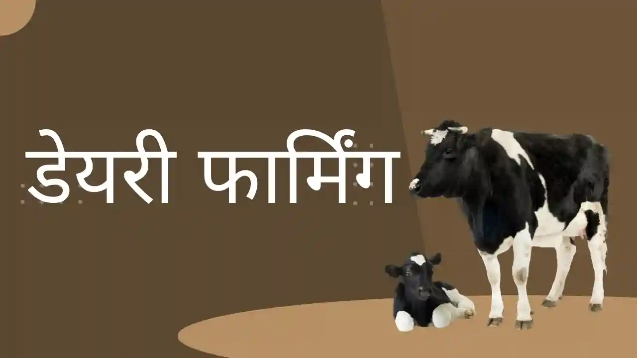 गांव में पैसे कमाने का आसान तरीका 2025